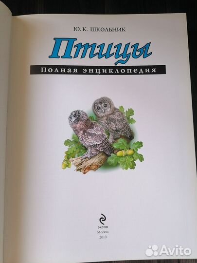 Полная энциклопедия: 