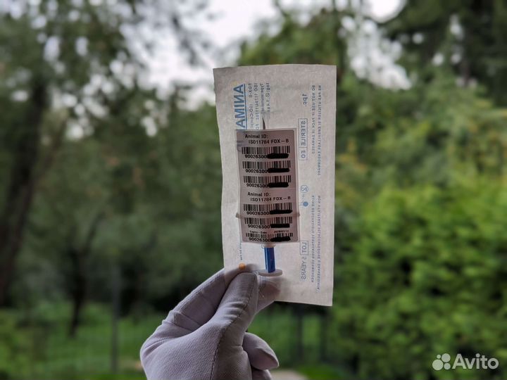 Чипирование Чип для животных 1.4х8 мм