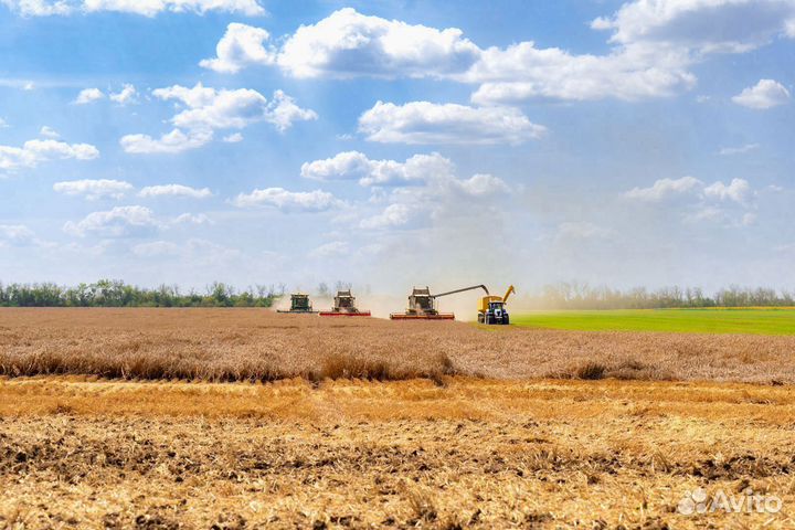 Бункер Bonum Hopper-30, 2023