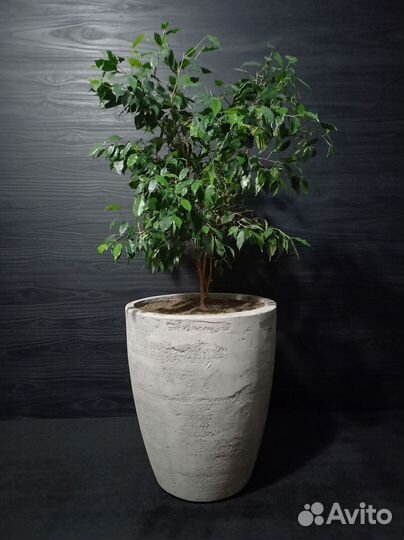 Кашпо, Вазоны, Горшки под заказ из бетона арт 124