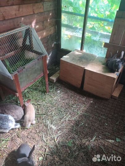 Загон для кроликов Б/У