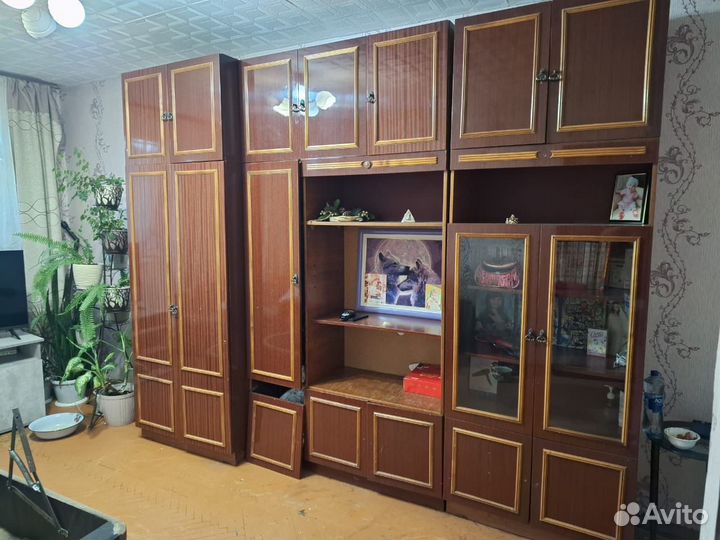 Отдам бесплатно