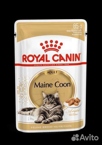Royal Canin Maine Coon Adult, в соусе 24шт