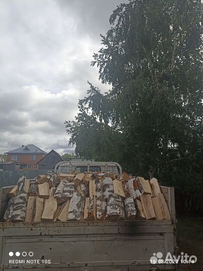 Береза колотая