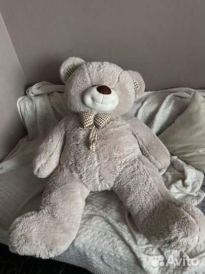 Плюшевый медведь