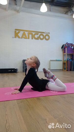 Гимнастическая школа