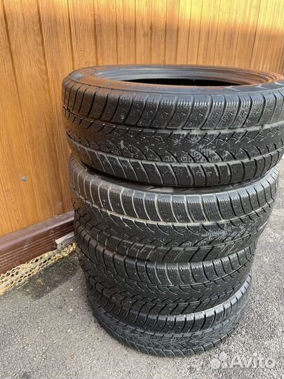 Triangle WinterX TW401 195/55 R16