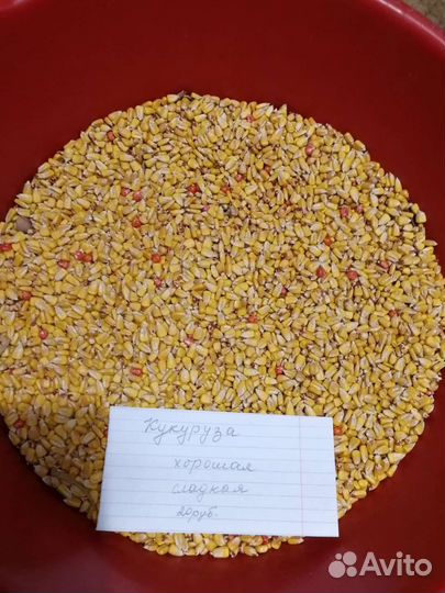 Семена, саженцы