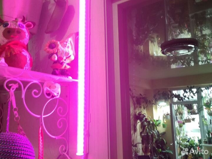 Фито лампа для растений полный спектр