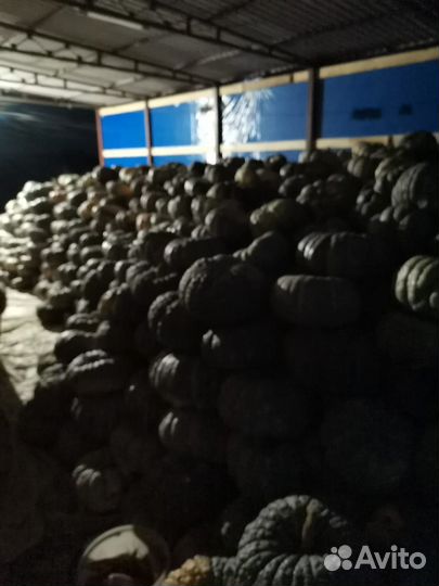 Тыква мраморная