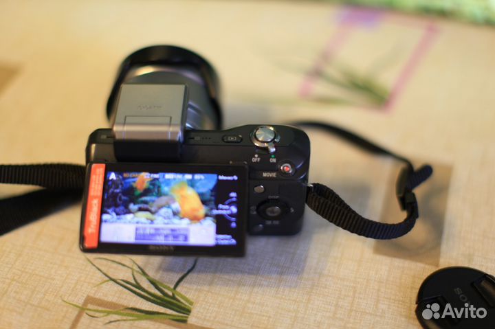 Sony NEX 3