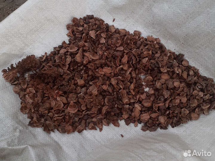 Мельница (рушилка) для кедровых шишек