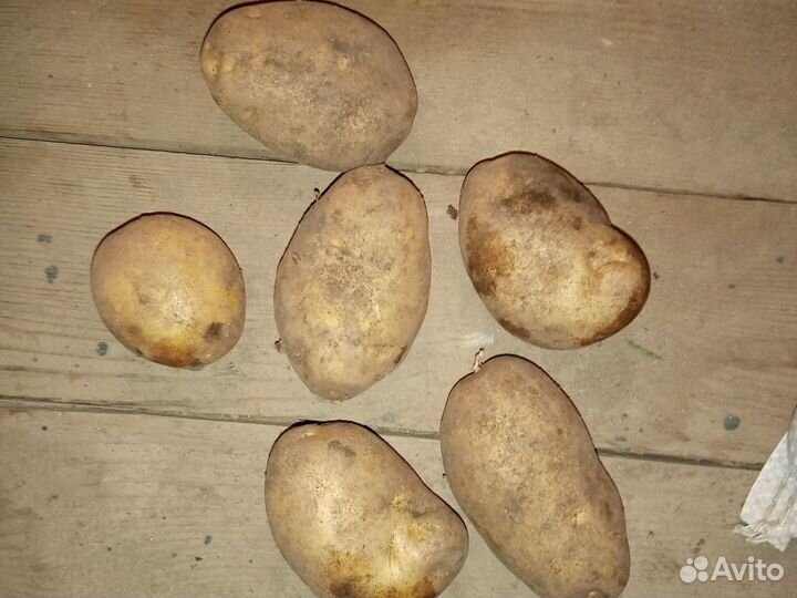 Картофель деревенский с доставкой