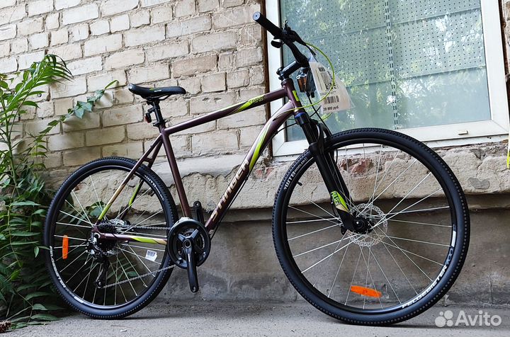 Велосипед гибрид campus EVO 700с