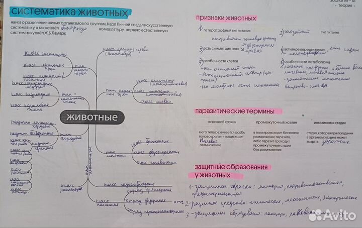 Курсы по подготовке к егэ по биологии