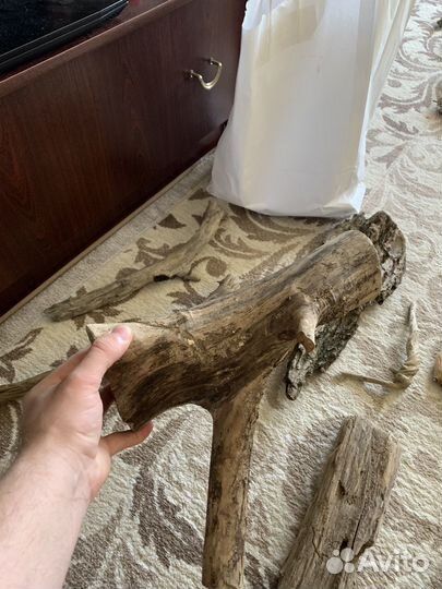 Коряги дрифтвуд