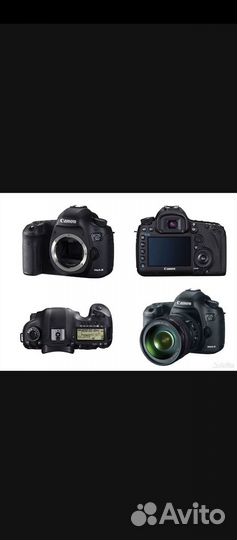Canon eos 5D mark iii