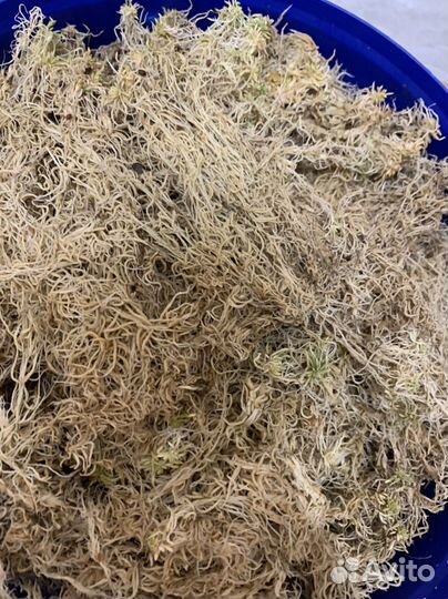 Мох сфагнум цена за 5 литров