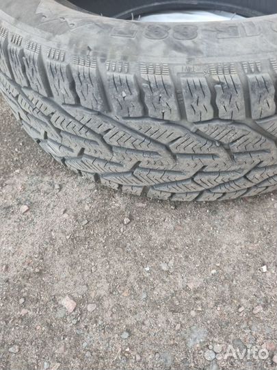 Tigar Winter 195/60 R15 88T