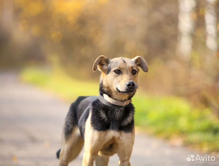 Малышка Аманда