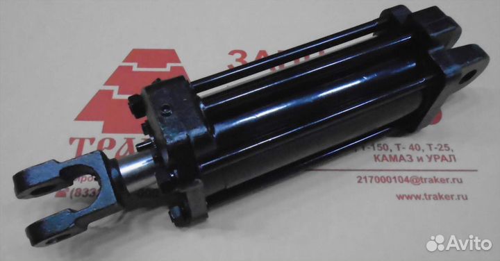 Г/цилиндр цс 100*200