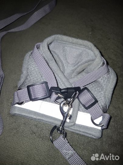 Шлейка для животных