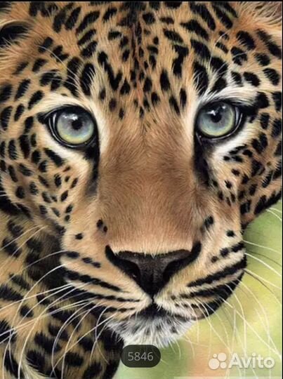 Алмазная вышивка Леопард