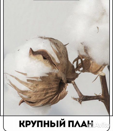 Плакаты постеры