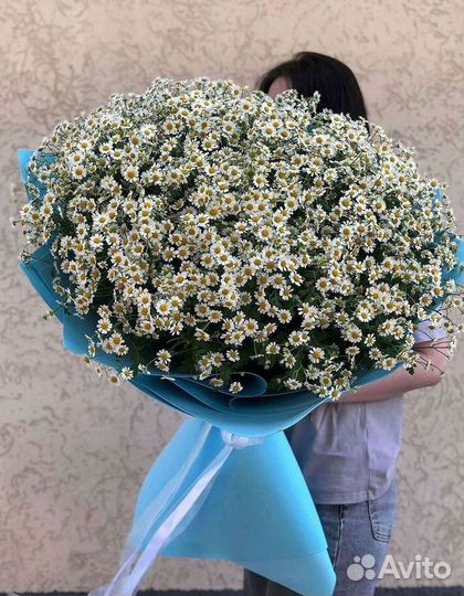 Букеты. Доставка ромашек