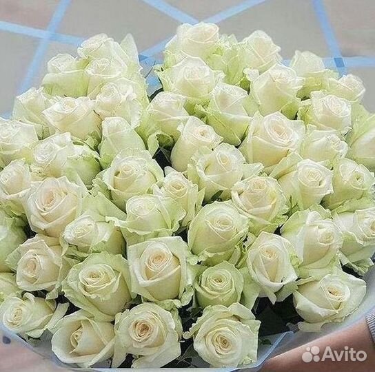 Высокие розы 150 160 170 180 190см доставка Москва