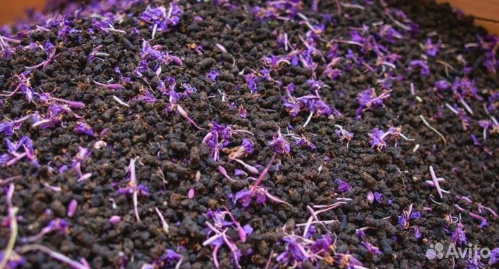 Иван-чай листовой и гранулированный оптом и в розн