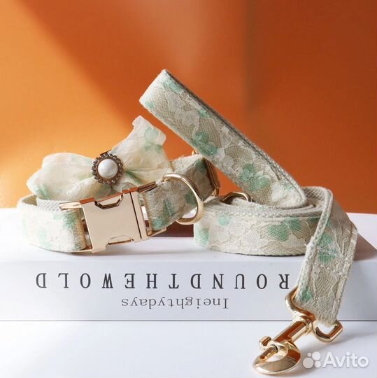 Ошейник и поводок с гравировкой для собак и кошек