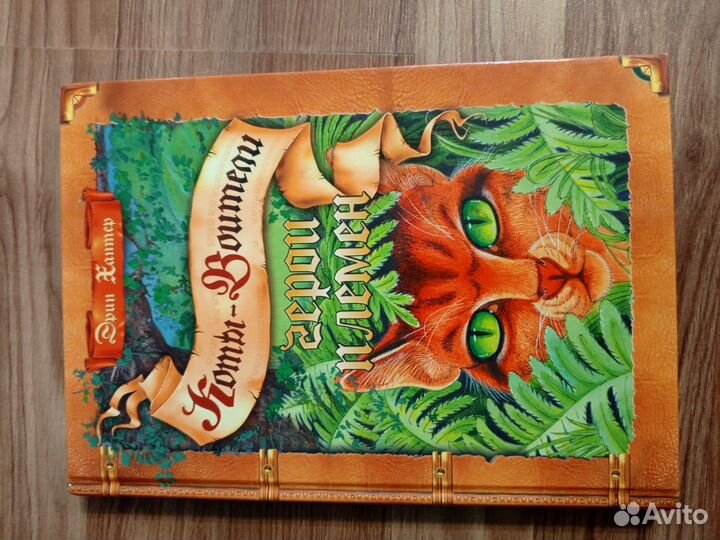 Коты воители