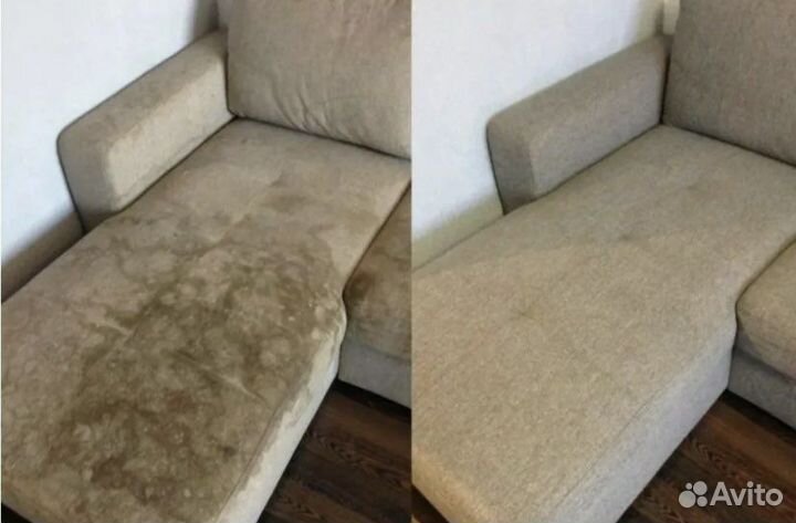 Аренда моющего пылесоса