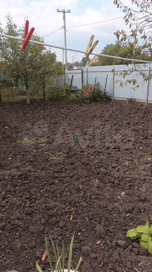 Дом 46,6 м² на участке 11 сот.