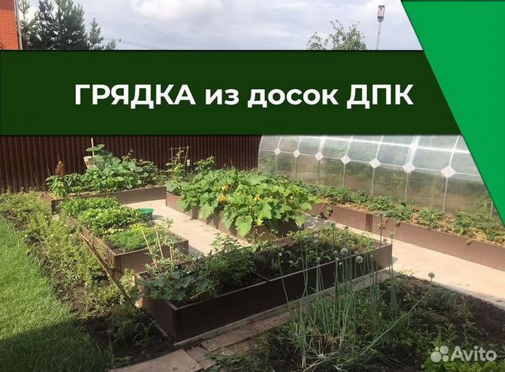 Дпк грядки