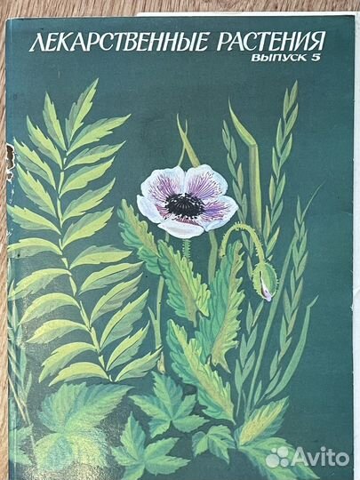 Открытки – 