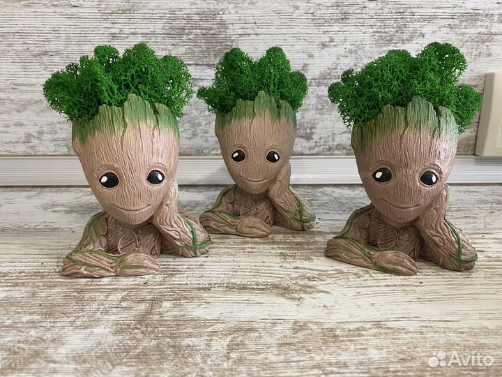 Подарок Мини кашпо Грут с мхом