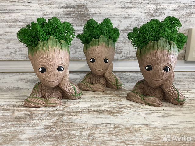 Подарок Мини кашпо Грут с мхом