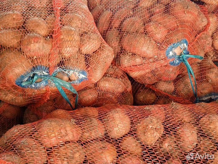 Картофель на еду