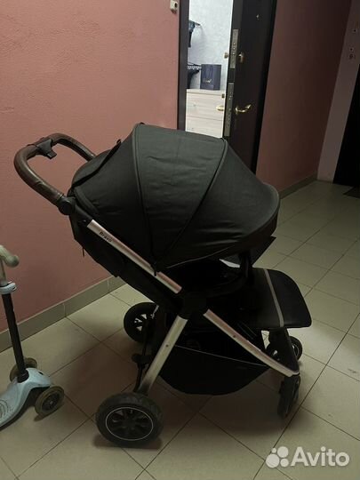 Прогулочная коляска carello bravo plus