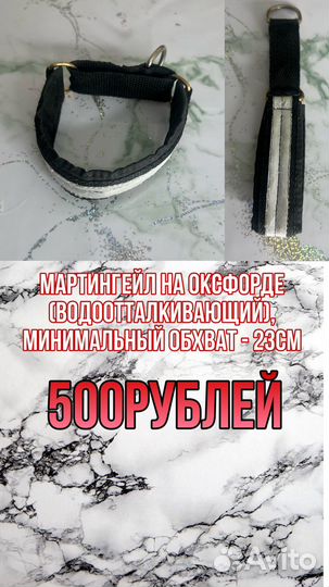 Амуниция для собак