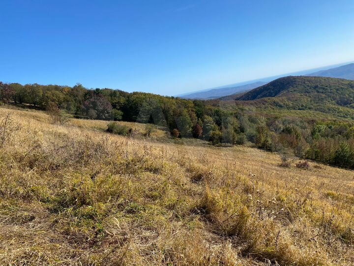 Участок 25 га (СНТ, ДНП)