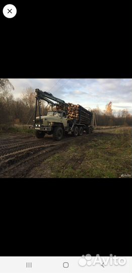 Услуги лесовоза