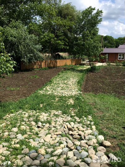 Турбаза рыбалка пикник