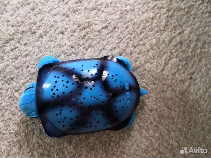 Черепаха ночник