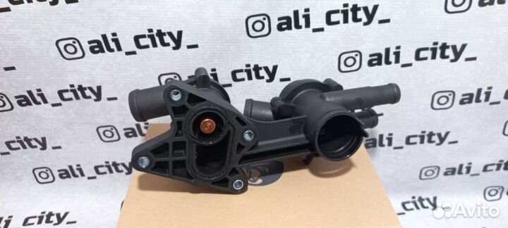 Термостаты всборе с корпусом поло Luzar