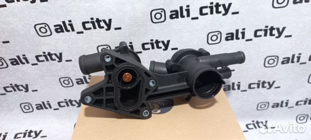 Термостаты всборе с корпусом поло Luzar