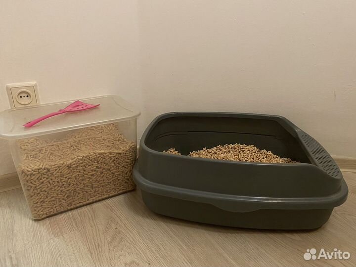 Вислоушка в добрые руки