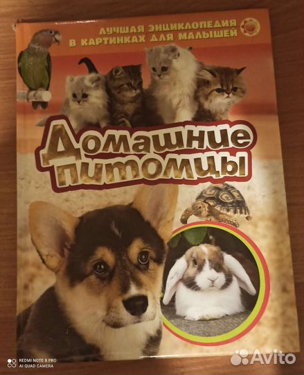 Книги для малышей
